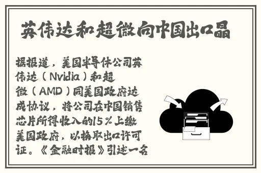 国产丰满老妇伦子交尾在线播放